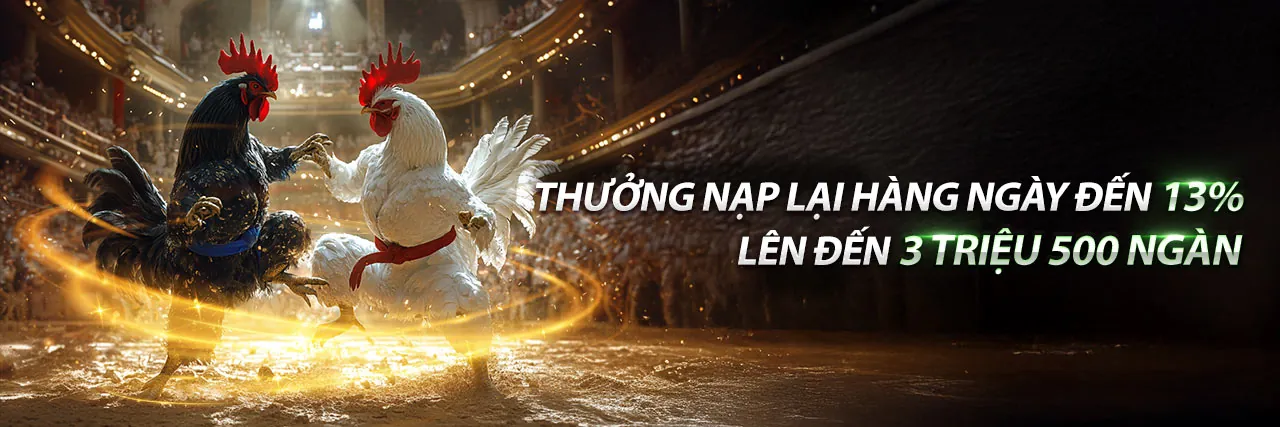 Đá gà trực tuyến kịch tính tại AE789
